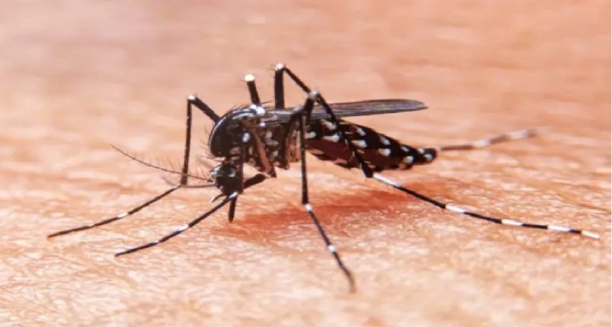 Tucumán: chica de 16 años muere por dengue 