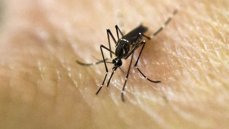 Argentina alcanzó a los 129 muertes por Dengue y 180 mil casos activos 