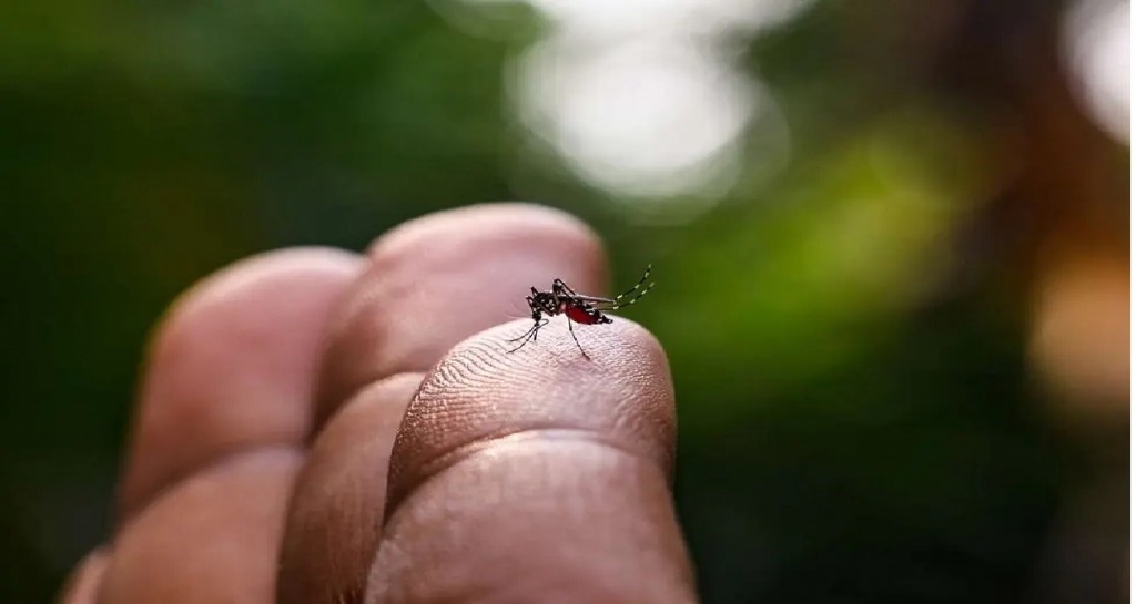 Primer muerto por coinfección de dengue en el país