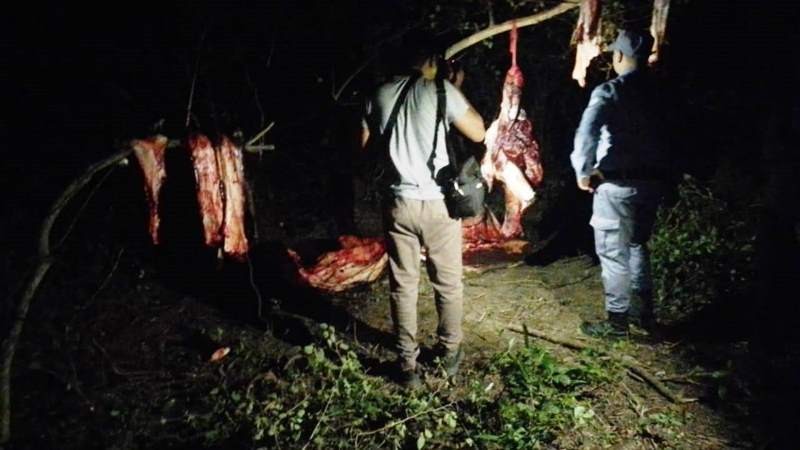 La policía secuestró 280 kilos de carne y tres personas fueron demorados 