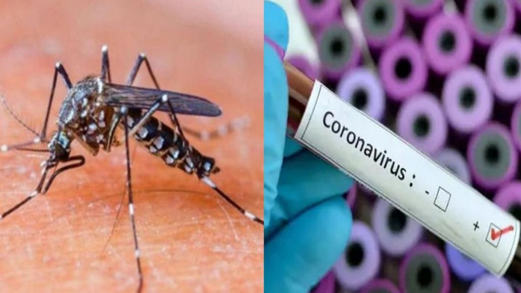 Dengue y COVID en Formosa: El ministro de Desarrollo Humano,Aníbal Gómez dijo que “en ambos casos estamos muy bien”